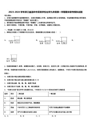 2023-2024学年浙江省温岭市实验学校化学九年级第一学期期末联考模拟试题含解析.doc