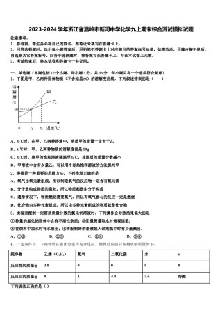 2023-2024学年浙江省温岭市新河中学化学九上期末综合测试模拟试题含解析.doc