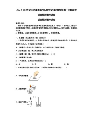 2023-2024学年浙江省温州实验中学化学九年级第一学期期中质量检测模拟试题含解析.doc