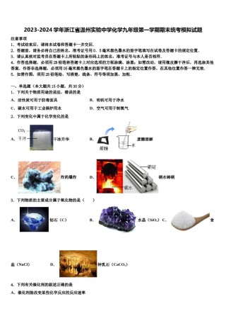 2023-2024学年浙江省温州实验中学化学九年级第一学期期末统考模拟试题含解析.doc