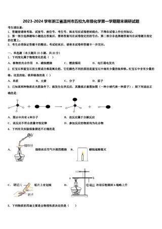 2023-2024学年浙江省温州市五校九年级化学第一学期期末调研试题含解析.doc