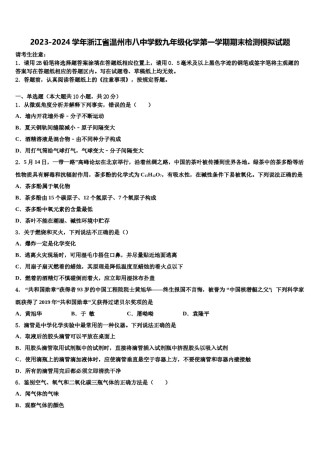 2023-2024学年浙江省温州市八中学数九年级化学第一学期期末检测模拟试题含解析.doc