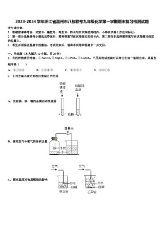 2023-2024学年浙江省温州市八校联考九年级化学第一学期期末复习检测试题含解析.doc