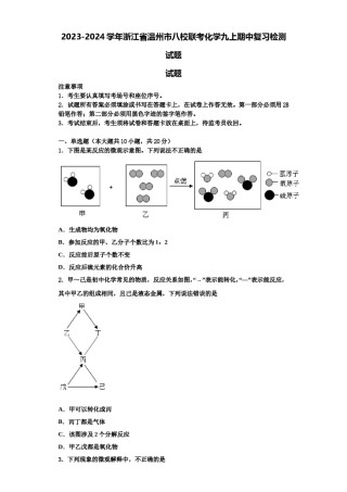 2023-2024学年浙江省温州市八校联考化学九上期中复习检测试题含解析.doc