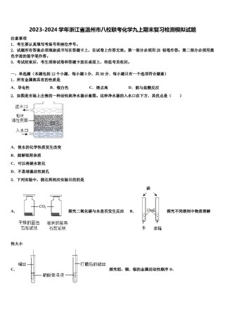 2023-2024学年浙江省温州市八校联考化学九上期末复习检测模拟试题含解析.doc