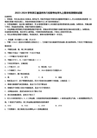 2023-2024学年浙江省温州市八校联考化学九上期末检测模拟试题含解析.doc