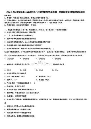 2023-2024学年浙江省温州市八校联考化学九年级第一学期期末复习检测模拟试题含解析.doc