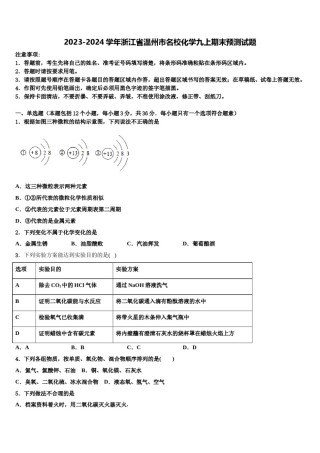 2023-2024学年浙江省温州市名校化学九上期末预测试题含解析.doc