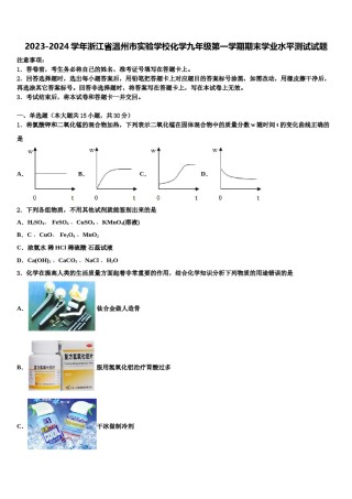 2023-2024学年浙江省温州市实验学校化学九年级第一学期期末学业水平测试试题含解析.doc