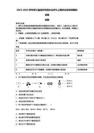 2023-2024学年浙江省温州市民办化学九上期中达标检测模拟试题含解析.doc