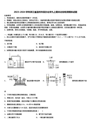 2023-2024学年浙江省温州市民办化学九上期末达标检测模拟试题含解析.doc