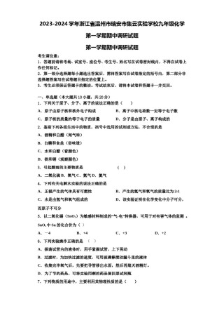 2023-2024学年浙江省温州市瑞安市集云实验学校九年级化学第一学期期中调研试题含解析.doc