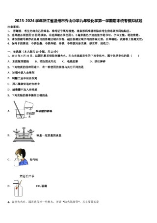 2023-2024学年浙江省温州市秀山中学九年级化学第一学期期末统考模拟试题含解析.doc