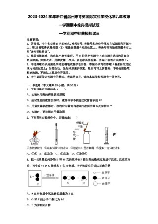 2023-2024学年浙江省温州市育英国际实验学校化学九年级第一学期期中经典模拟试题含解析.doc