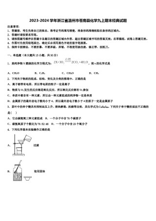 2023-2024学年浙江省温州市苍南县化学九上期末经典试题含解析.doc