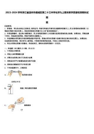 2023-2024学年浙江省温州市鹿城区第二十三中学化学九上期末教学质量检测模拟试题含解析.doc