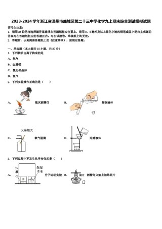2023-2024学年浙江省温州市鹿城区第二十三中学化学九上期末综合测试模拟试题含解析.doc