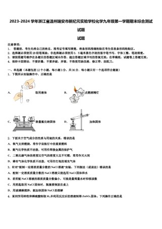 2023-2024学年浙江省温州瑞安市新纪元实验学校化学九年级第一学期期末综合测试试题含解析.doc