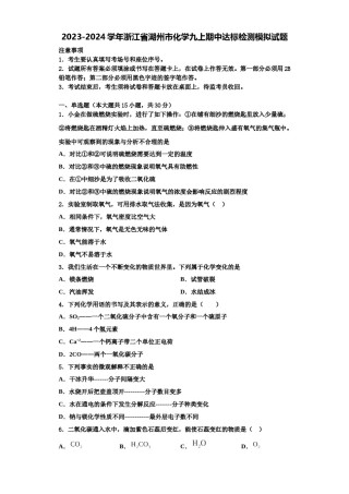2023-2024学年浙江省湖州市化学九上期中达标检测模拟试题含解析.doc