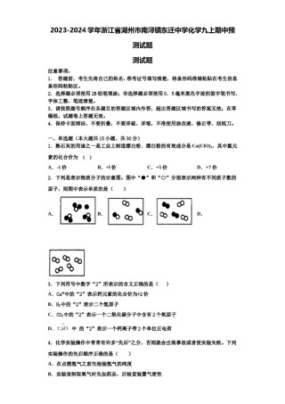 2023-2024学年浙江省湖州市南浔镇东迁中学化学九上期中预测试题含解析.doc