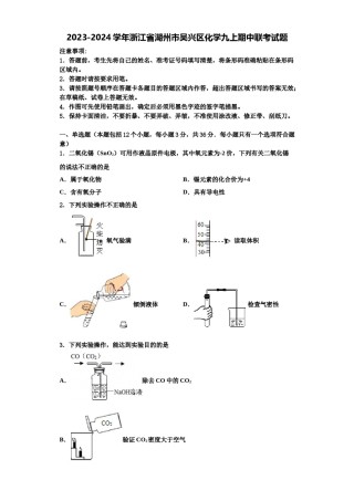 2023-2024学年浙江省湖州市吴兴区化学九上期中联考试题含解析.doc