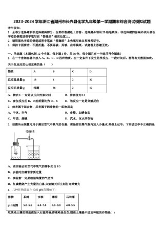 2023-2024学年浙江省湖州市长兴县化学九年级第一学期期末综合测试模拟试题含解析.doc