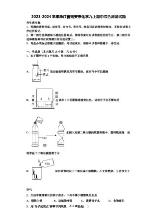 2023-2024学年浙江省瑞安市化学九上期中综合测试试题含解析.doc