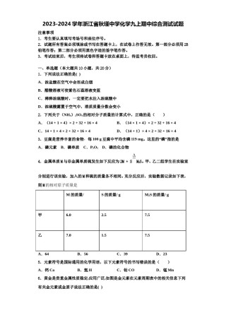 2023-2024学年浙江省秋瑾中学化学九上期中综合测试试题含解析.doc