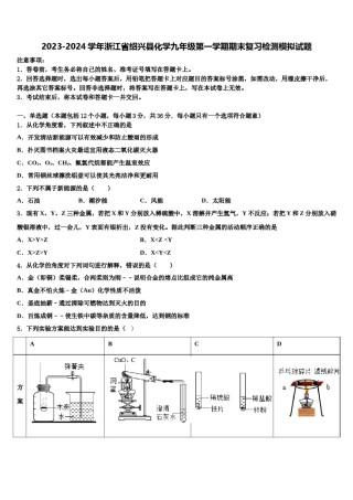 2023-2024学年浙江省绍兴县化学九年级第一学期期末复习检测模拟试题含解析.doc