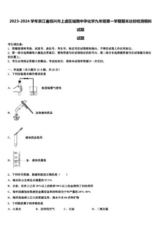 2023-2024学年浙江省绍兴市上虞区城南中学化学九年级第一学期期末达标检测模拟试题含解析.doc