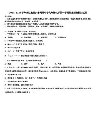 2023-2024学年浙江省绍兴市元培中学九年级化学第一学期期末经典模拟试题含解析.doc
