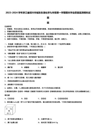 2023-2024学年浙江省绍兴市城东东湖化学九年级第一学期期末学业质量监测模拟试题含解析.doc