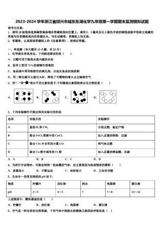 2023-2024学年浙江省绍兴市城东东湖化学九年级第一学期期末监测模拟试题含解析.doc