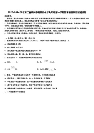 2023-2024学年浙江省绍兴市新昌县化学九年级第一学期期末质量跟踪监视试题含解析.doc