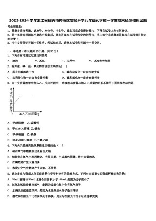 2023-2024学年浙江省绍兴市柯桥区实验中学九年级化学第一学期期末检测模拟试题含解析.doc