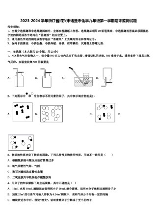 2023-2024学年浙江省绍兴市诸暨市化学九年级第一学期期末监测试题含解析.doc