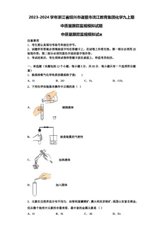 2023-2024学年浙江省绍兴市诸暨市浣江教育集团化学九上期中质量跟踪监视模拟试题含解析.doc