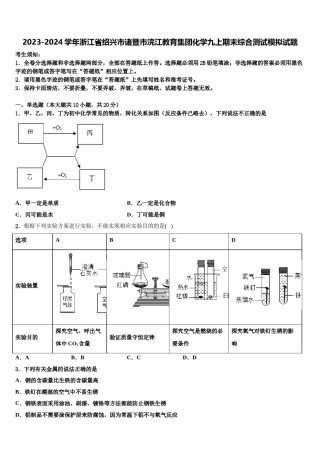 2023-2024学年浙江省绍兴市诸暨市浣江教育集团化学九上期末综合测试模拟试题含解析.doc