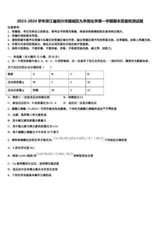 2023-2024学年浙江省绍兴市越城区九年级化学第一学期期末质量检测试题含解析.doc