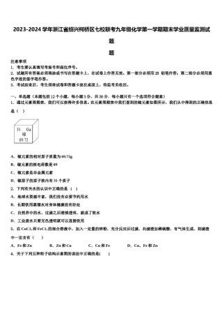 2023-2024学年浙江省绍兴柯桥区七校联考九年级化学第一学期期末学业质量监测试题含解析.doc