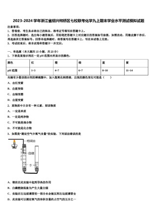 2023-2024学年浙江省绍兴柯桥区七校联考化学九上期末学业水平测试模拟试题含解析.doc