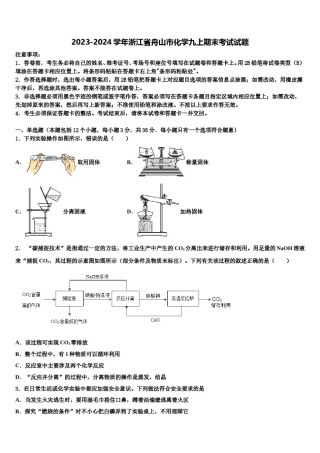 2023-2024学年浙江省舟山市化学九上期末考试试题含解析.doc