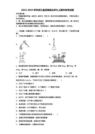 2023-2024学年浙江省苍南县化学九上期中统考试题含解析.doc