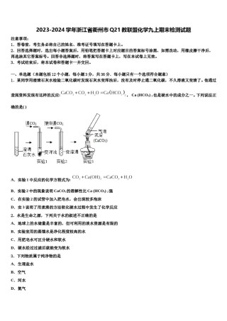 2023-2024学年浙江省衢州市Q21教联盟化学九上期末检测试题含解析.doc