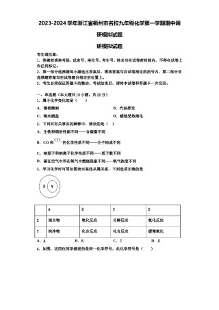 2023-2024学年浙江省衢州市名校九年级化学第一学期期中调研模拟试题含解析.doc