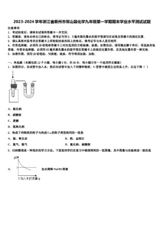 2023-2024学年浙江省衢州市常山县化学九年级第一学期期末学业水平测试试题含解析.doc