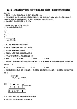 2023-2024学年浙江省衢州市教联盟体九年级化学第一学期期末考试模拟试题含解析.doc