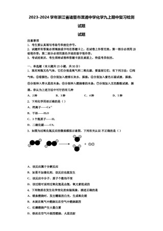 2023-2024学年浙江省诸暨市浬浦中学化学九上期中复习检测试题含解析.doc