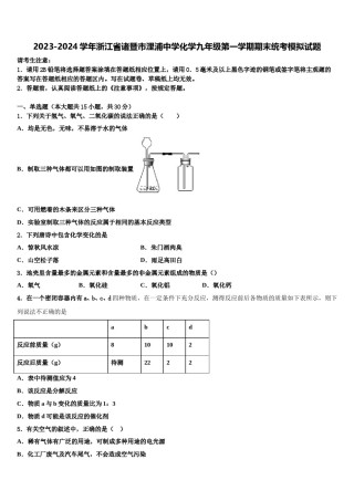 2023-2024学年浙江省诸暨市浬浦中学化学九年级第一学期期末统考模拟试题含解析.doc