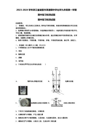 2023-2024学年浙江省诸暨市浬浦镇中学化学九年级第一学期期中复习检测试题含解析.doc